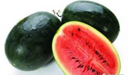 17c吃瓜黑料爆料蘑菇视频,蘑菇视频背后的惊人真相