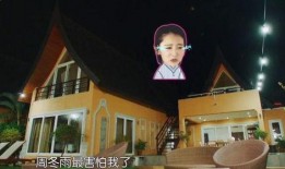 明星大爆料黑历史视频,黑历史视频背后的惊人真相