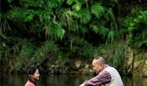 上海夜莺在线观看,在线领略夜莺之美