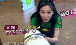 娱乐吃瓜酱笑声在线观看