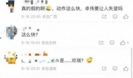 卓伟爆料过任嘉伦嘛视频,任嘉伦神秘视频曝光，真相究竟如何？