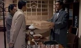 大香港在线观看,在线观看，揭秘繁华背后的故事