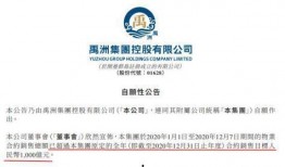 禹洲集团最新爆料新闻事件