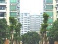嘉禾新城最新爆料,揭秘未来城市生活新地标！