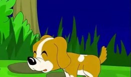 动物小花爆料视频下载,动物世界幕后爆料视频大揭秘