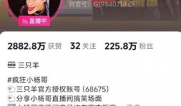 韩婧格被爆料视频大全最新,揭秘背后真相与争议