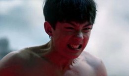 豆瓣爆料吴磊视频大全下载,吴磊视频大全下载，网友热议不断！