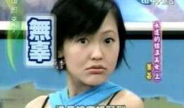 徐老太儿媳爆料视频大全,揭开家庭纷争背后的真相