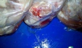 吃鸡皮肤返厂最新爆料,全新爆料带你领略游戏魅力