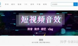 学生爆料音乐博主视频素材,学生爆料视频素材背后的故事