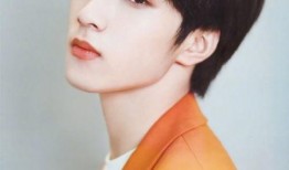 丁哥爆料刘耀文视频大全,揭秘娱乐圈背后的秘密