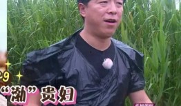 乐播老贾爆料新闻最新一期