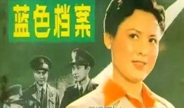 电影蓝色档案在线观看,揭秘神秘事件的惊心动魄之旅