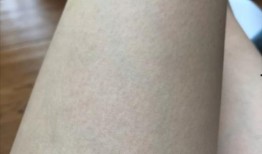 吃鸡皮肤返厂最新爆料,全新爆料带你领略游戏魅力