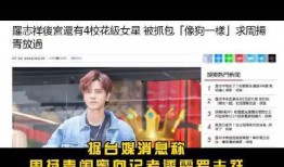 老斗最新爆料新闻视频,最新爆料新闻视频深度解析