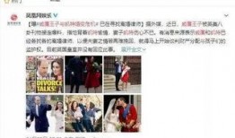 博主爆料凯特的视频,博主爆料视频背后的真实故事