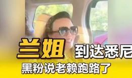 兰姐黑粉爆料视频大全下载,真相与谣言的交织