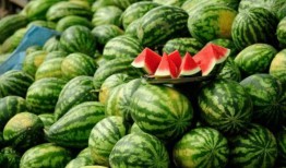 网红的吃瓜网站有哪些呢,一网打尽娱乐圈最新动态