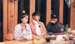 在线观看亲爱的客栈,跟随亲爱的客栈，体验温馨的乡村度假时光