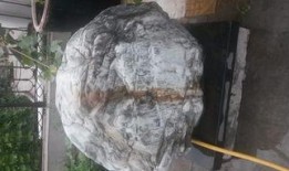 石头在线观看,穿越时空的奇幻之旅