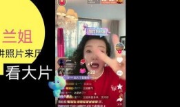 兰姐黑粉爆料视频大全下载,真相与谣言的交织