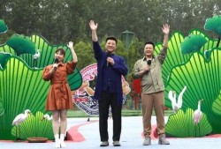 天涯最新爆料坠机案视频,坠机案最新视频曝光，真相渐浮水面