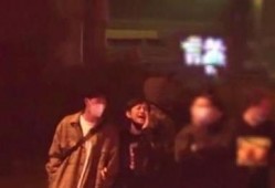 柬埔寨王哥爆料事件视频,揭秘事件背后真相