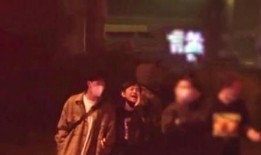 柬埔寨王哥爆料事件视频,揭秘事件背后真相