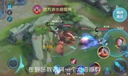 王者爆料鸡哥视频大全集,鸡哥视频大全集精彩回顾