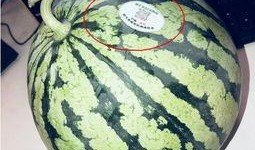 网红订婚吃瓜,吃瓜群众围观揭秘！