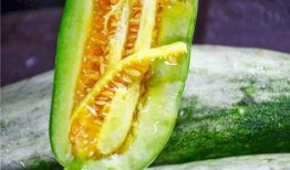 各网红吃瓜网站,揭秘娱乐圈最新热点事件