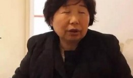 最新爆料许敏,揭秘背后惊人真相