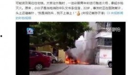 厦门爆料小伙子事件视频,网络舆论下的真相探寻