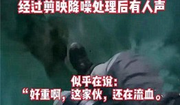 襄阳晚安爆料事件视频,真相与争议的交织