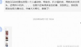 qq视频爆料,热门事件背后真相曝光