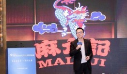 录音爆料汪小菲视频播放,录音爆料背后的惊人真相