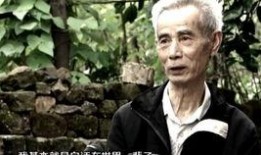 热门短视频爆料网站,热门内容背后的秘密