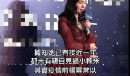 港媒爆料霍家二公子视频,豪门恩怨再起波澜