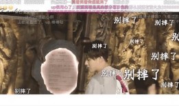 文春爆料历史真相视频播放,历史真相视频播放背后的故事