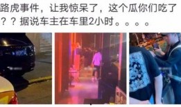 荷兰网红吃瓜事件真相,揭秘背后真相与网络舆论风暴