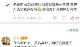 爆料张凌赫白鹿事件视频,真相揭秘，情感纠葛引热议