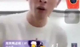辛巴爆料流量造假视频,揭秘网络流量背后的真相