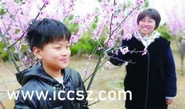 极道记者2在线观看,揭秘黑帮内幕，在线观看带你深入犯罪世界