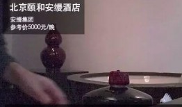 各大餐厅爆料视频播放,独家爆料视频深度解析
