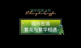 壁纸娱乐大爆料视频素材,揭秘热门视频幕后故事