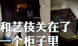 遇到鬼的爆料视频大全集,鬼影重重，揭秘神秘事件爆料视频大全集