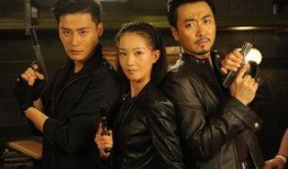 电视剧枪花全集在线观看,热血传奇，激情燃烧的岁月