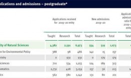 襄阳新闻大爆料最新视频,最新视频揭秘惊人内幕！