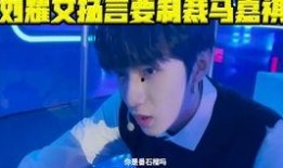 丁哥爆料刘耀文视频大全,揭秘娱乐圈背后的秘密