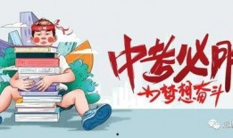 苏州爆料最新消息视频大全,精彩瞬间一网打尽